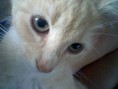 /album/our-animal-pics/picture-465-jpg/
